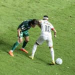 Santos x Palmeiras, Copa do Brasil 2026